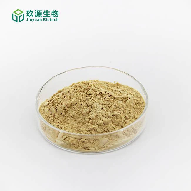 Angelica Extract 1