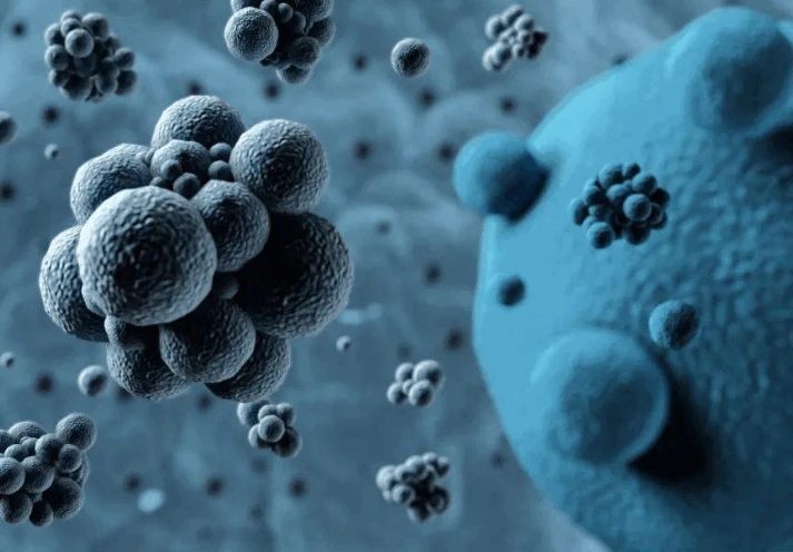 Anti-inflammatory effect Anti-inflammatory effect