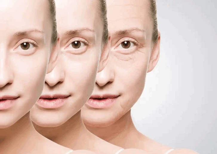 Antioxidant effect Antioxidant effect