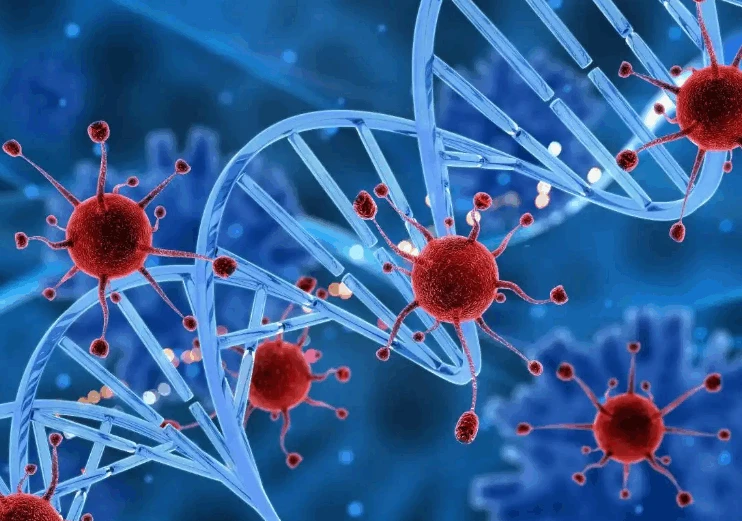Antiviral effect Antiviral effect